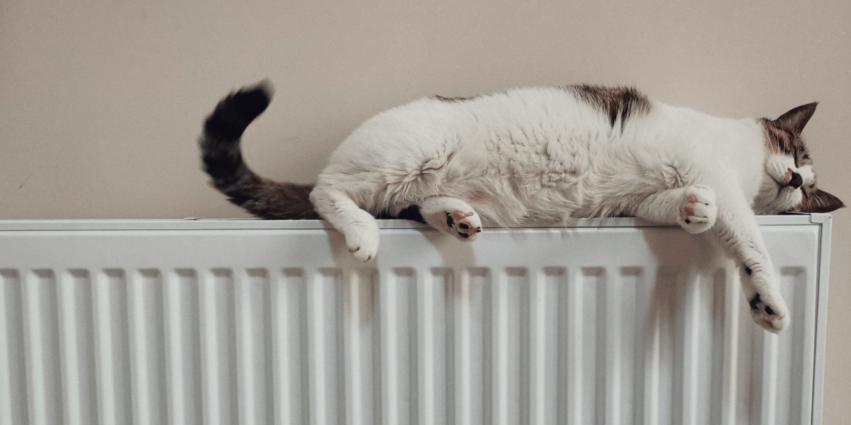 A cat lying on top of a radiator.